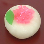 紫陽花(白雪平求肥) 紫陽花(白雪平求肥)